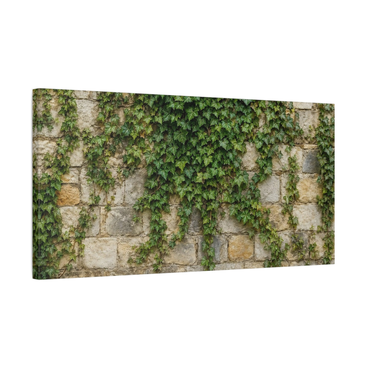 Side Mockup 1. Nature Ivy Vines Green Ivy Wall shown as stretched canvas wall art