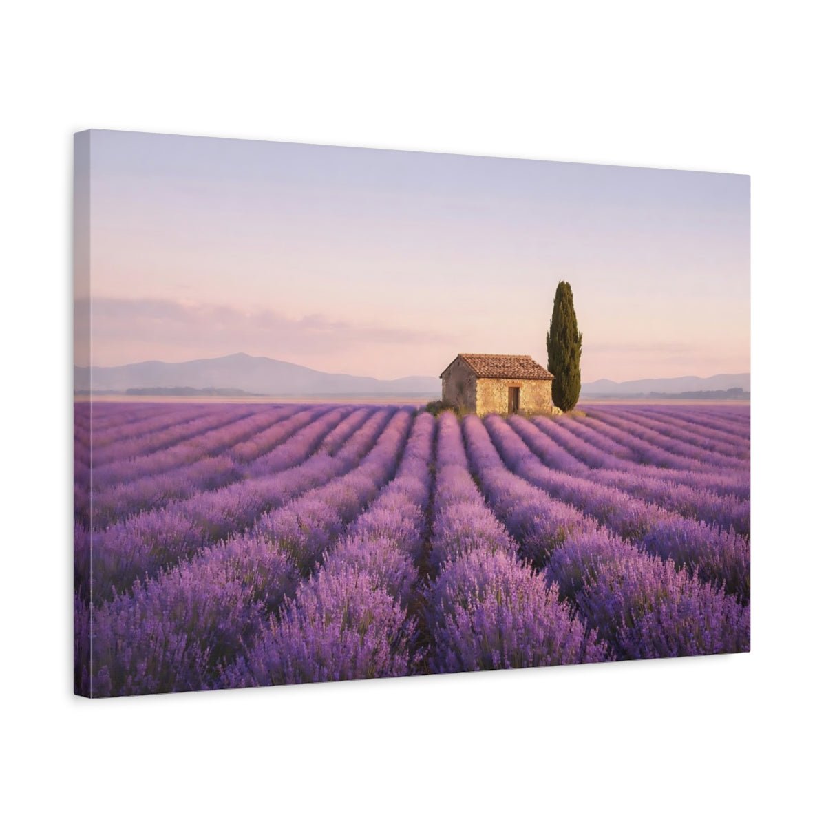 Nature Lavender Field Landscape - Canvas Wall Art Print - YesArtYes