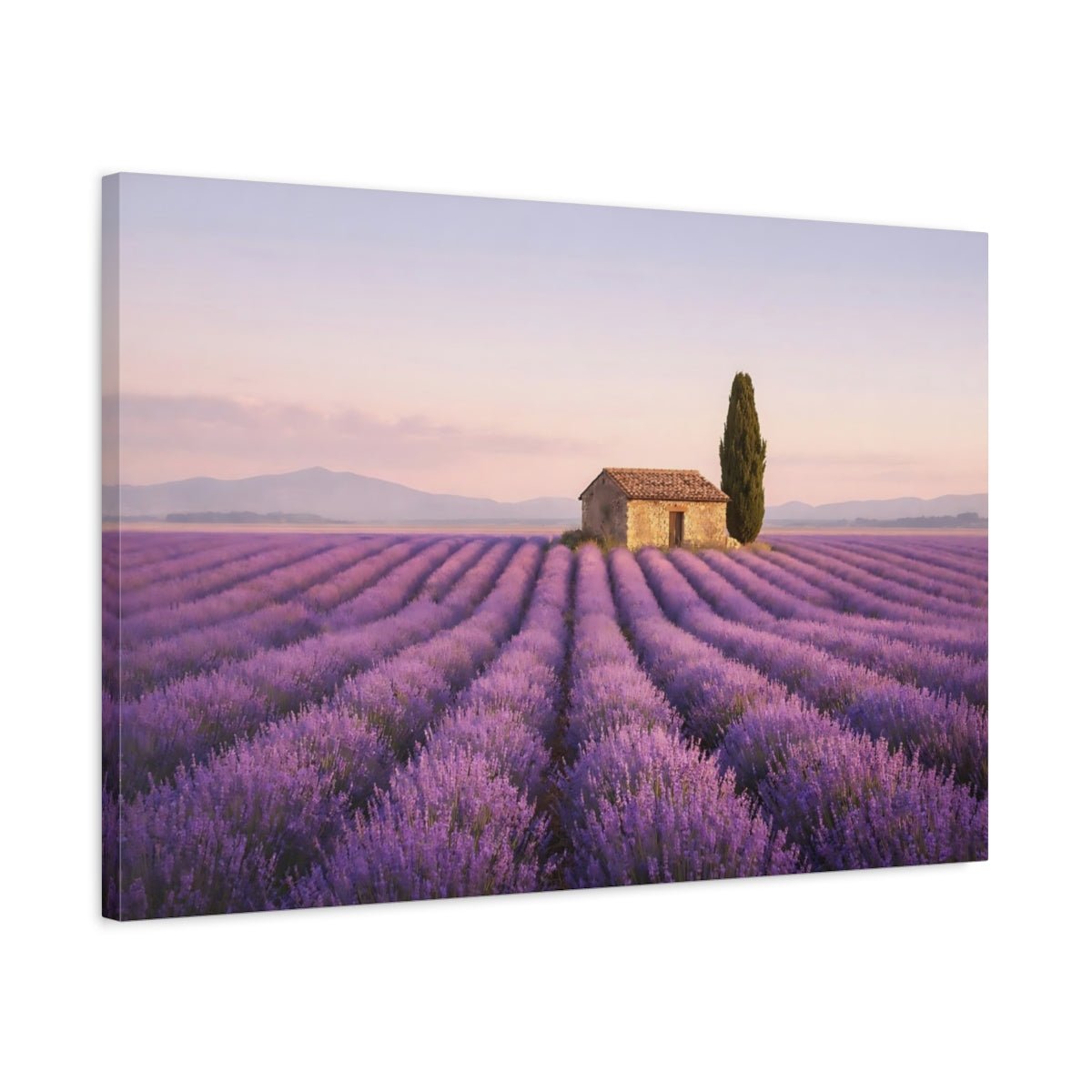Nature Lavender Field Landscape - Canvas Wall Art Print - YesArtYes