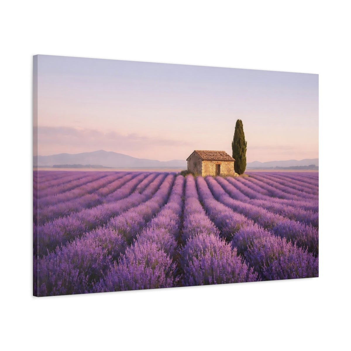 Nature Lavender Field Landscape - Canvas Wall Art Print - YesArtYes