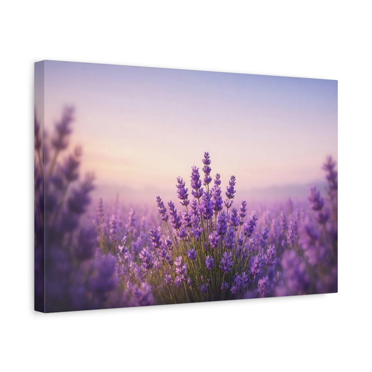 Nature Lavender Field Purple - Canvas Wall Art Print - YesArtYes
