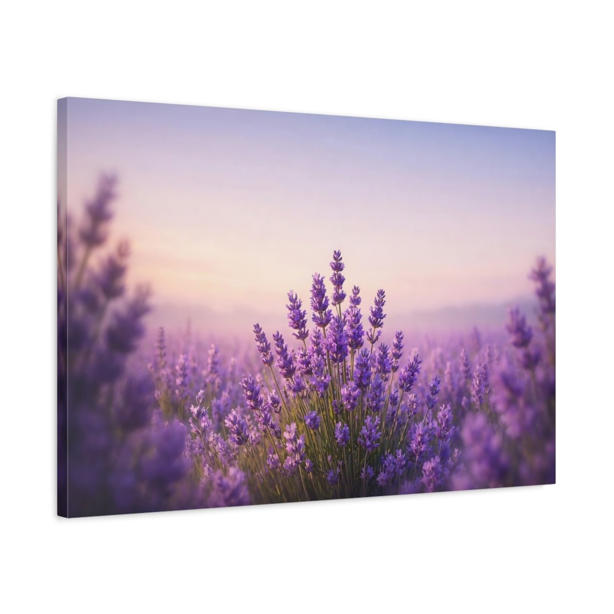 Nature Lavender Field Purple - Canvas Wall Art Print - YesArtYes