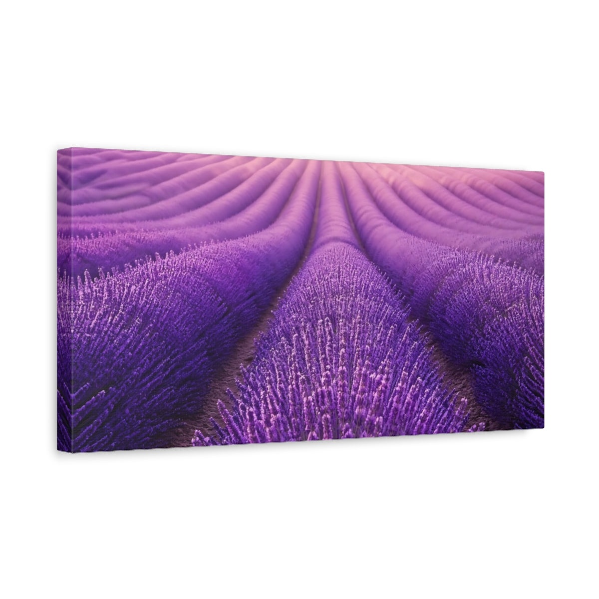 Side Mockup 3. Nature Lavender Field Purple Lavender shown as stretched canvas wall art