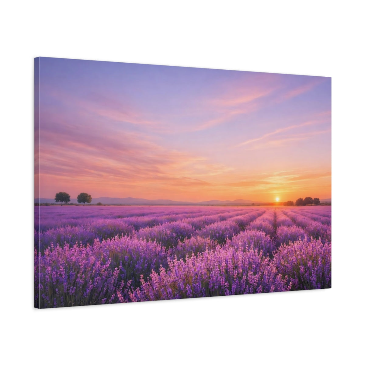Main Mockup. Nature Lavender Field Purple Lavender Sunset shown as stretched canvas wall art
