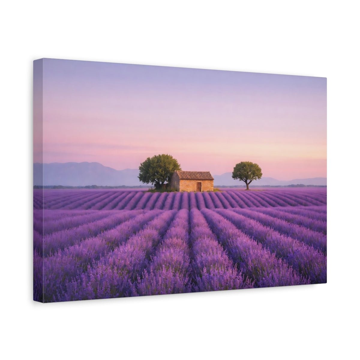 Nature Lavender Field Sunset - Canvas Wall Art Print - YesArtYes