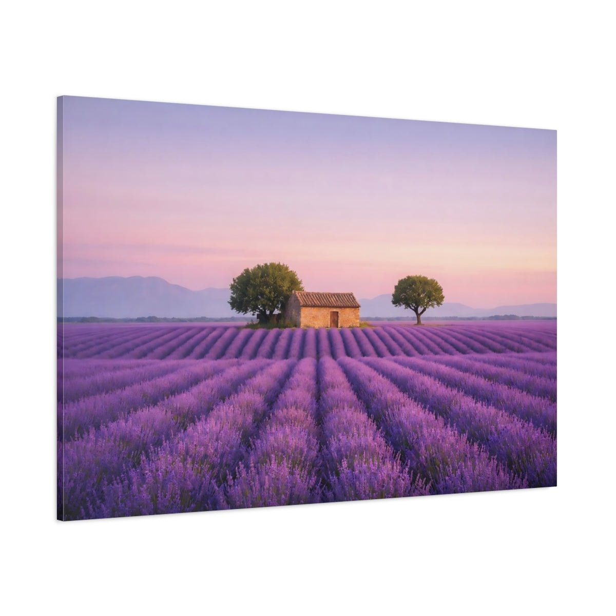 Nature Lavender Field Sunset - Canvas Wall Art Print - YesArtYes