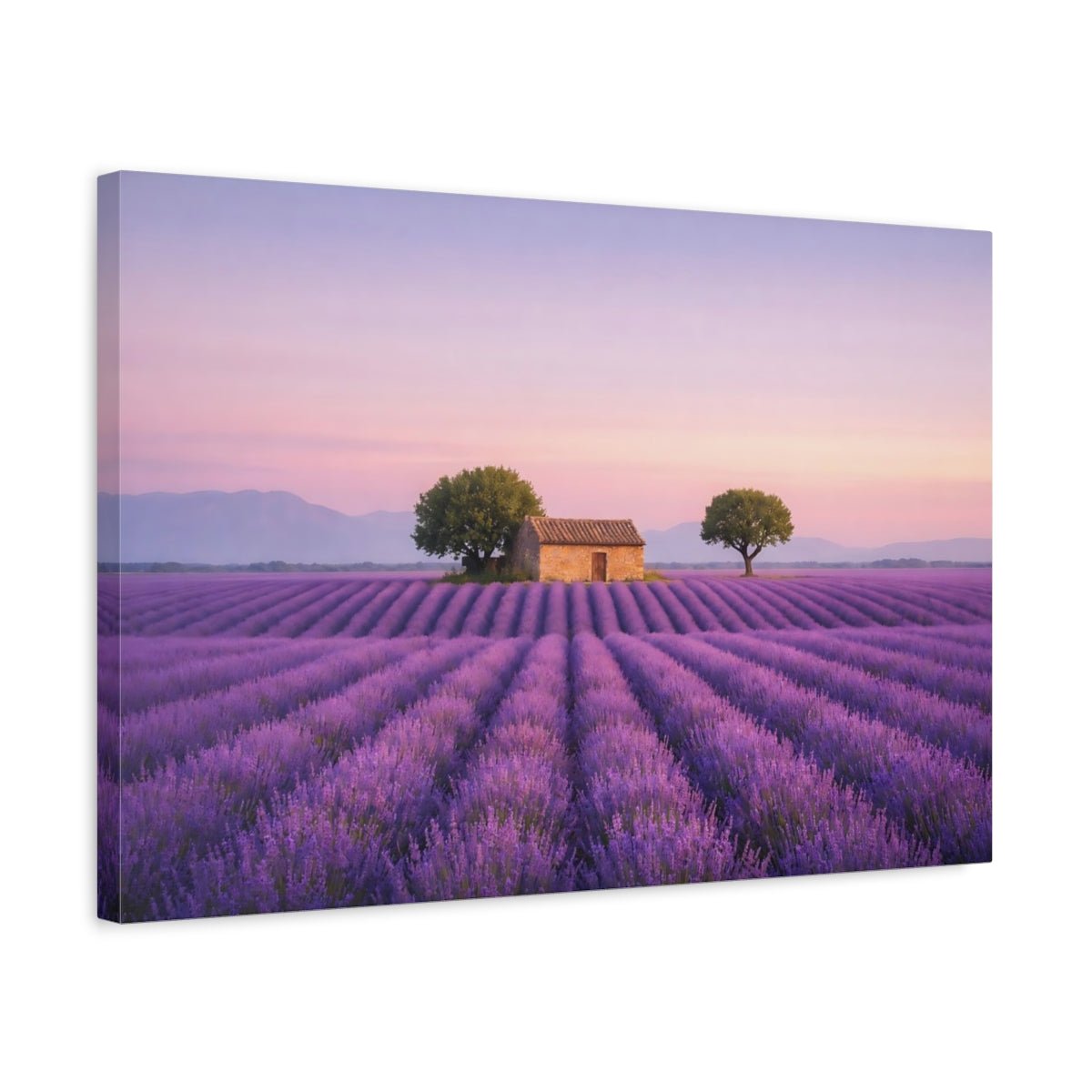 Nature Lavender Field Sunset - Canvas Wall Art Print - YesArtYes