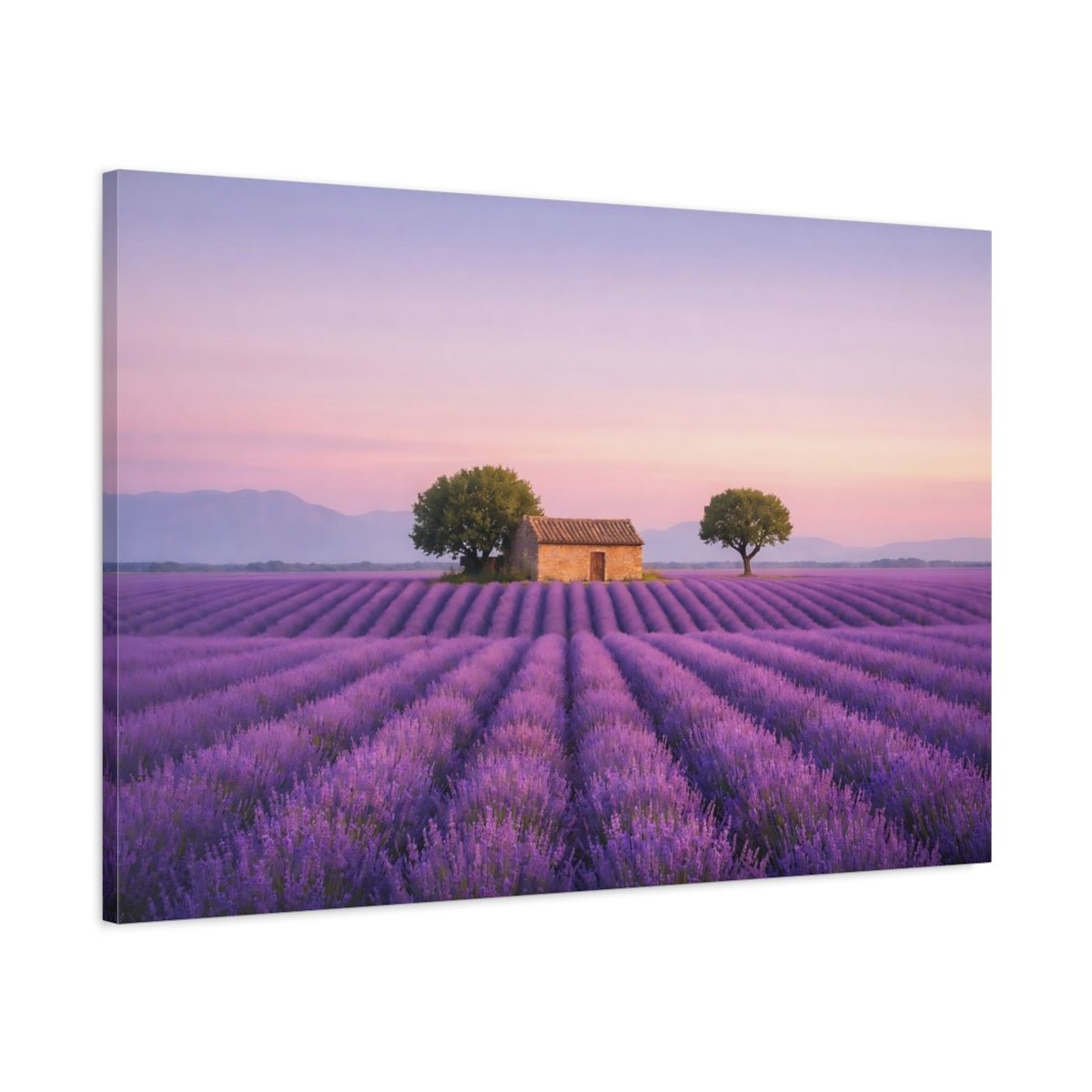 Nature Lavender Field Sunset - Canvas Wall Art Print - YesArtYes
