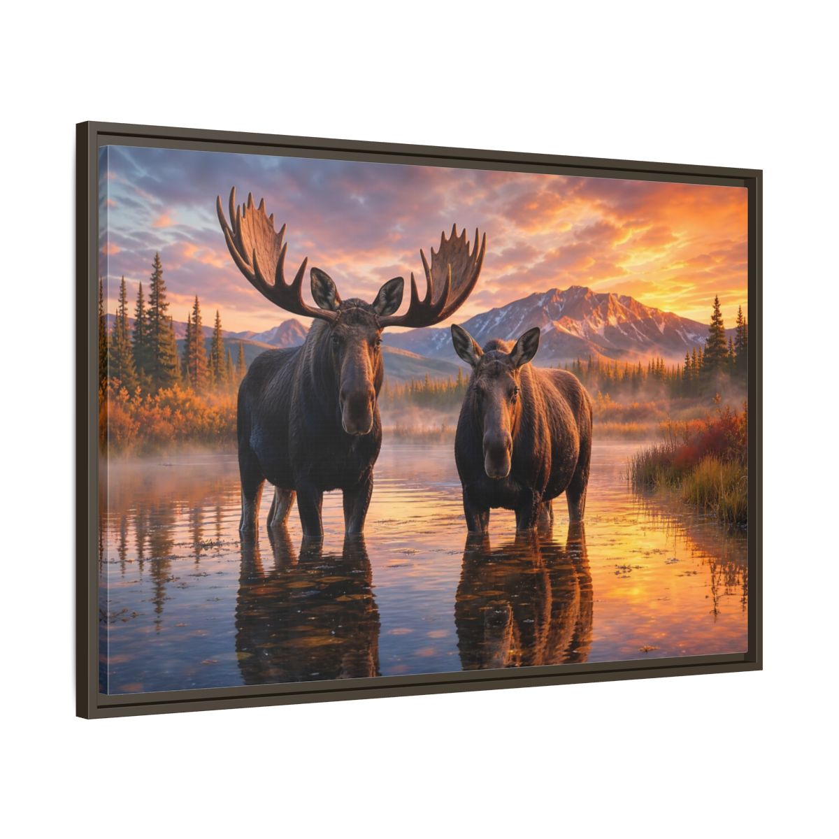 Nature Moose Pair Sunset Framed Canvas Print – Living Room, Large Wall - YesArtYes