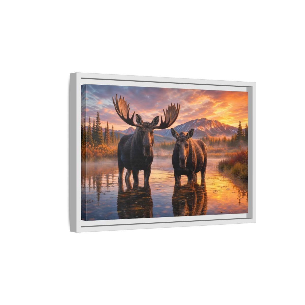 Nature Moose Pair Sunset Framed Canvas Print – Living Room, Large Wall - YesArtYes