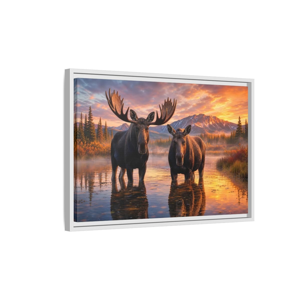 Nature Moose Pair Sunset Framed Canvas Print – Living Room, Large Wall - YesArtYes