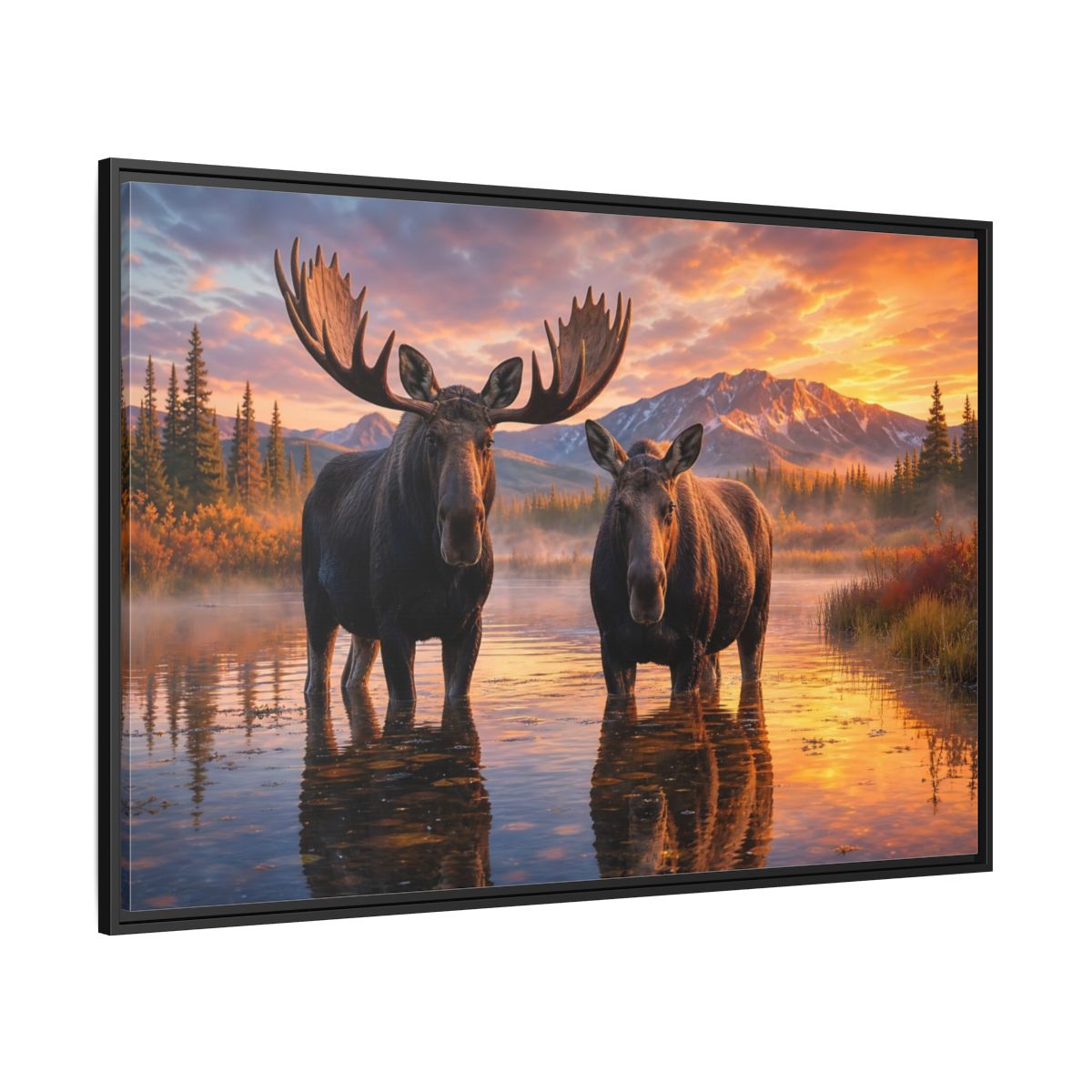 Nature Moose Pair Sunset Framed Canvas Print – Living Room, Large Wall - YesArtYes