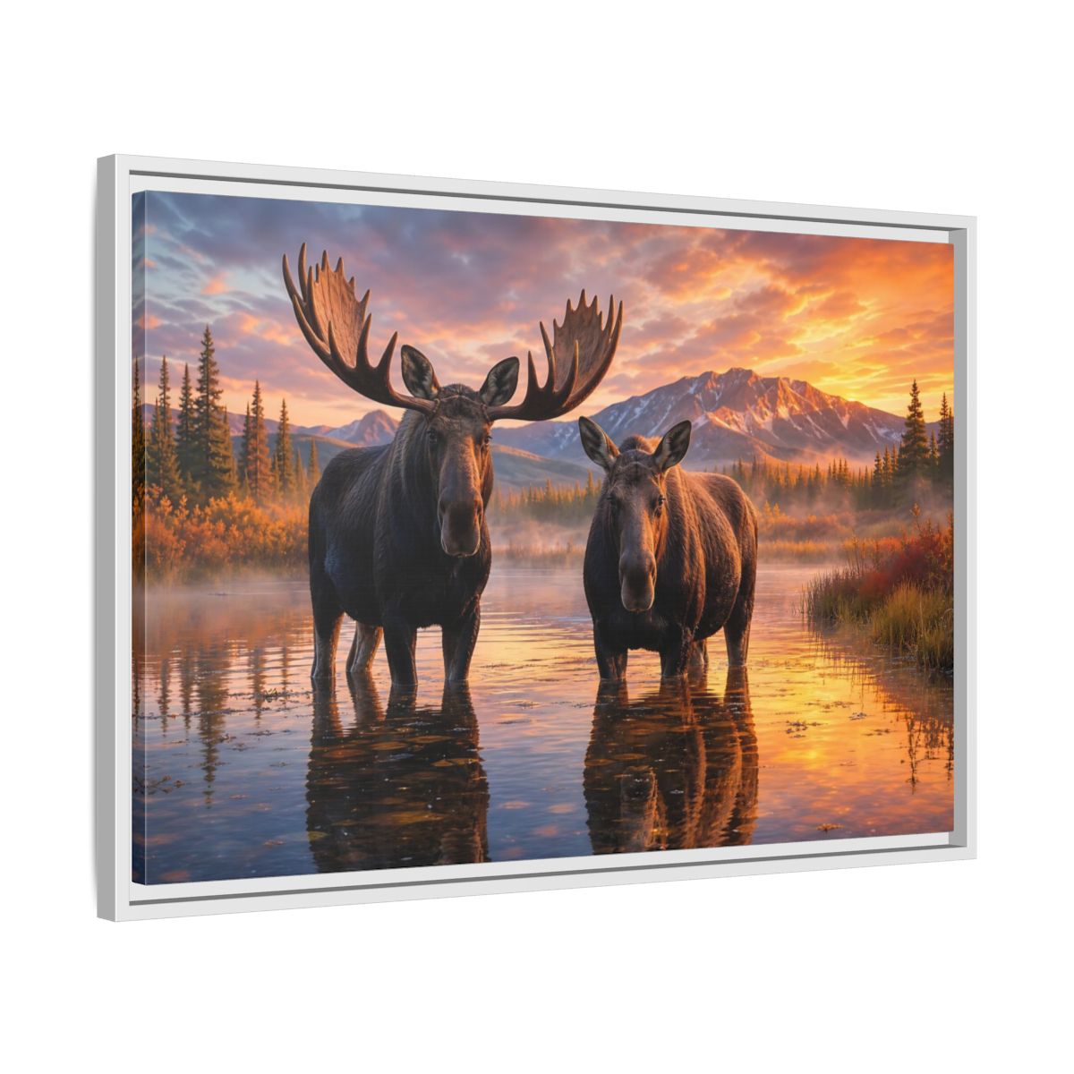 Nature Moose Pair Sunset Framed Canvas Print – Living Room, Large Wall - YesArtYes