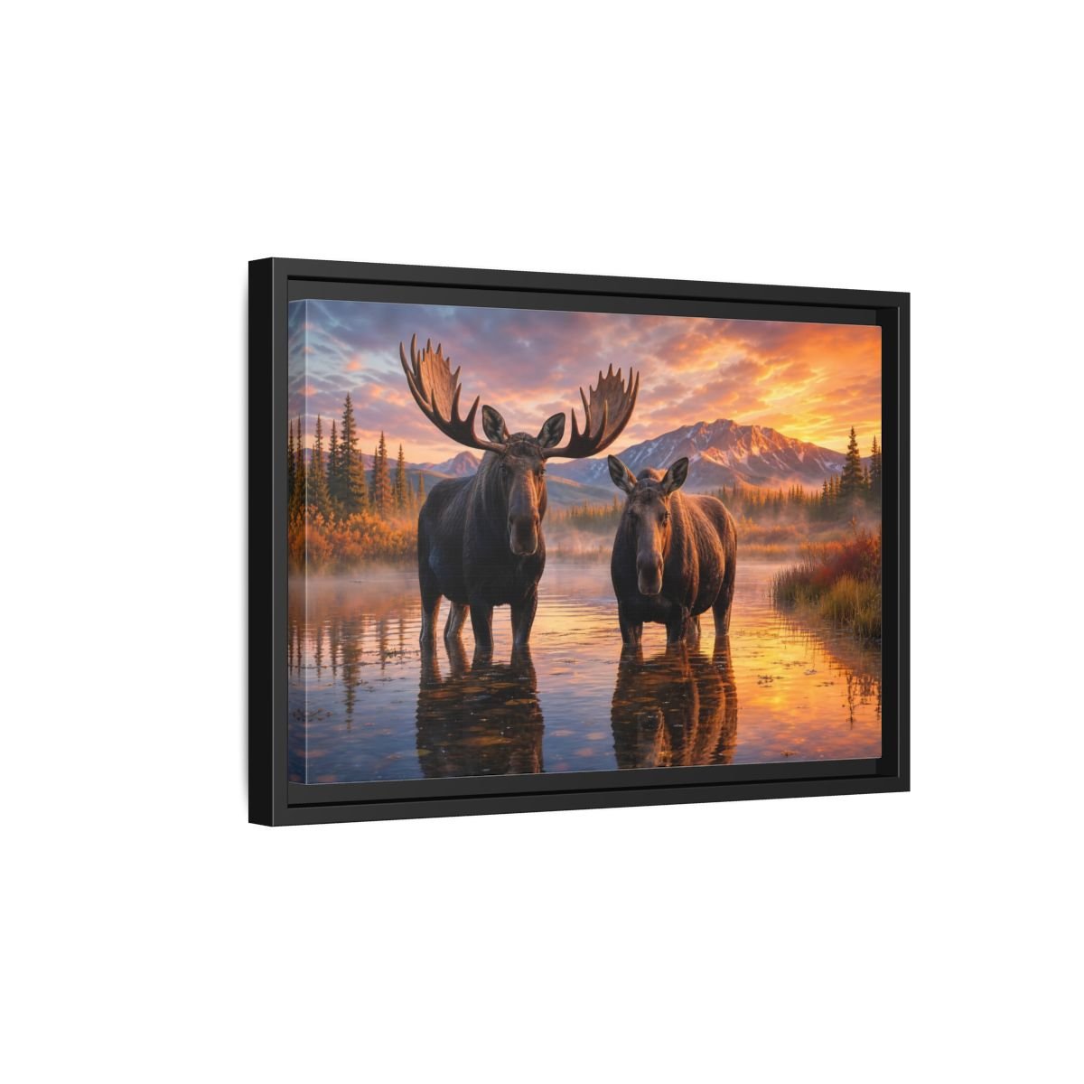 Nature Moose Pair Sunset Framed Canvas Print – Living Room, Large Wall - YesArtYes