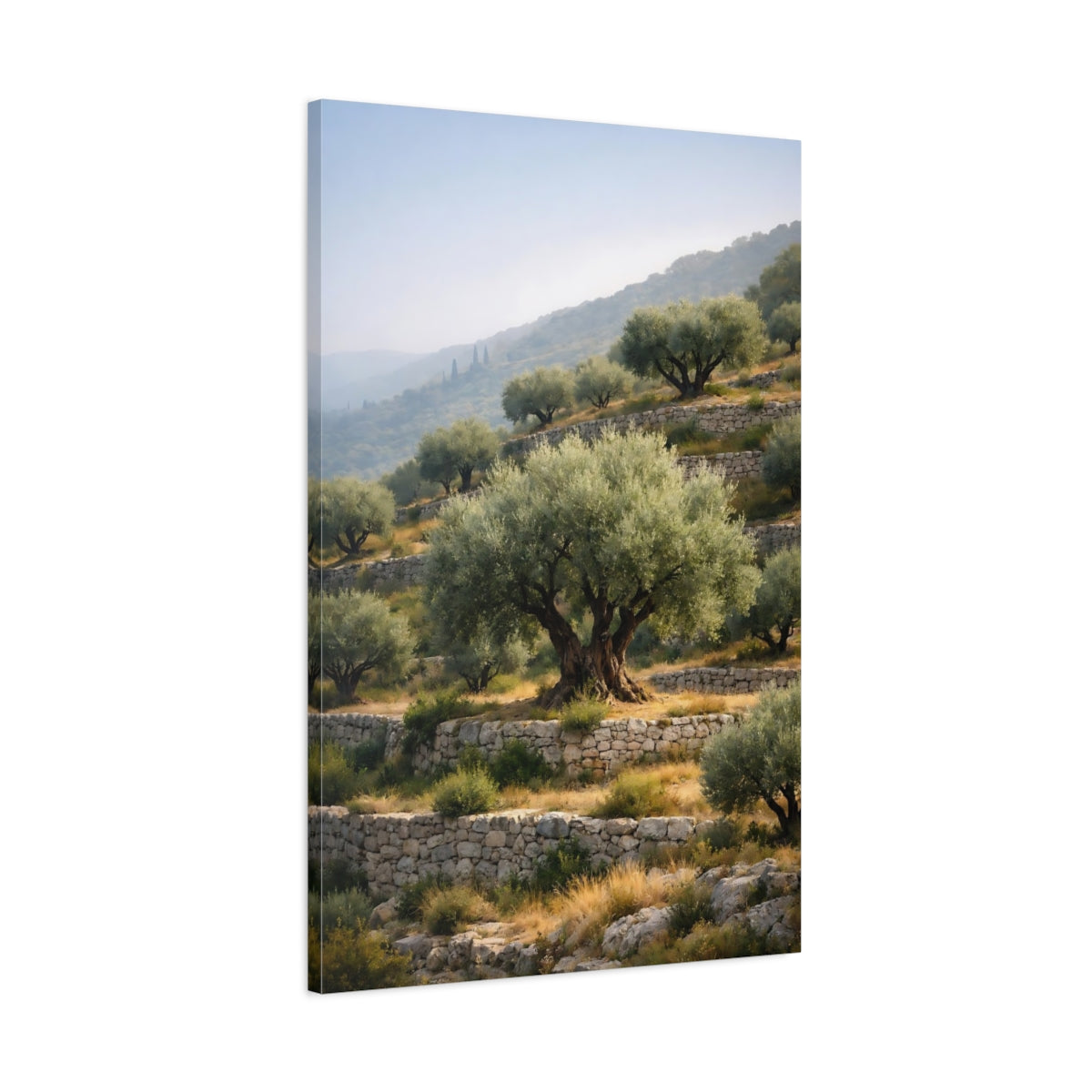 Side Mockup 1. Nature Olive Grove Olive Grove Landscape shown as stretched canvas wall art