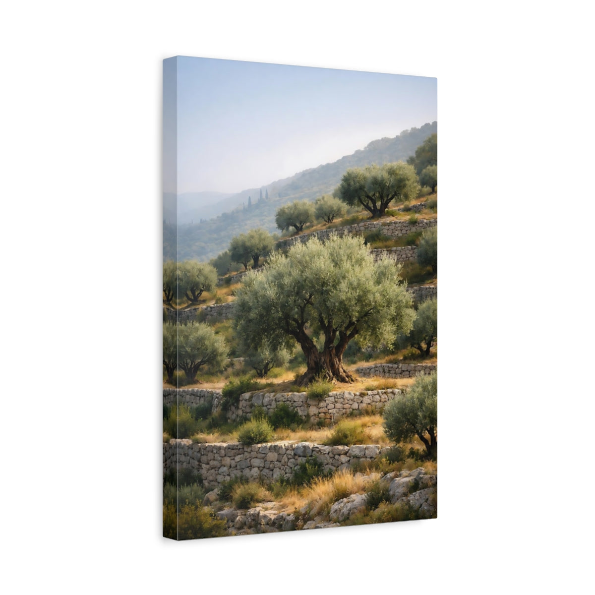 Side Mockup 4. Nature Olive Grove Olive Grove Landscape shown as stretched canvas wall art
