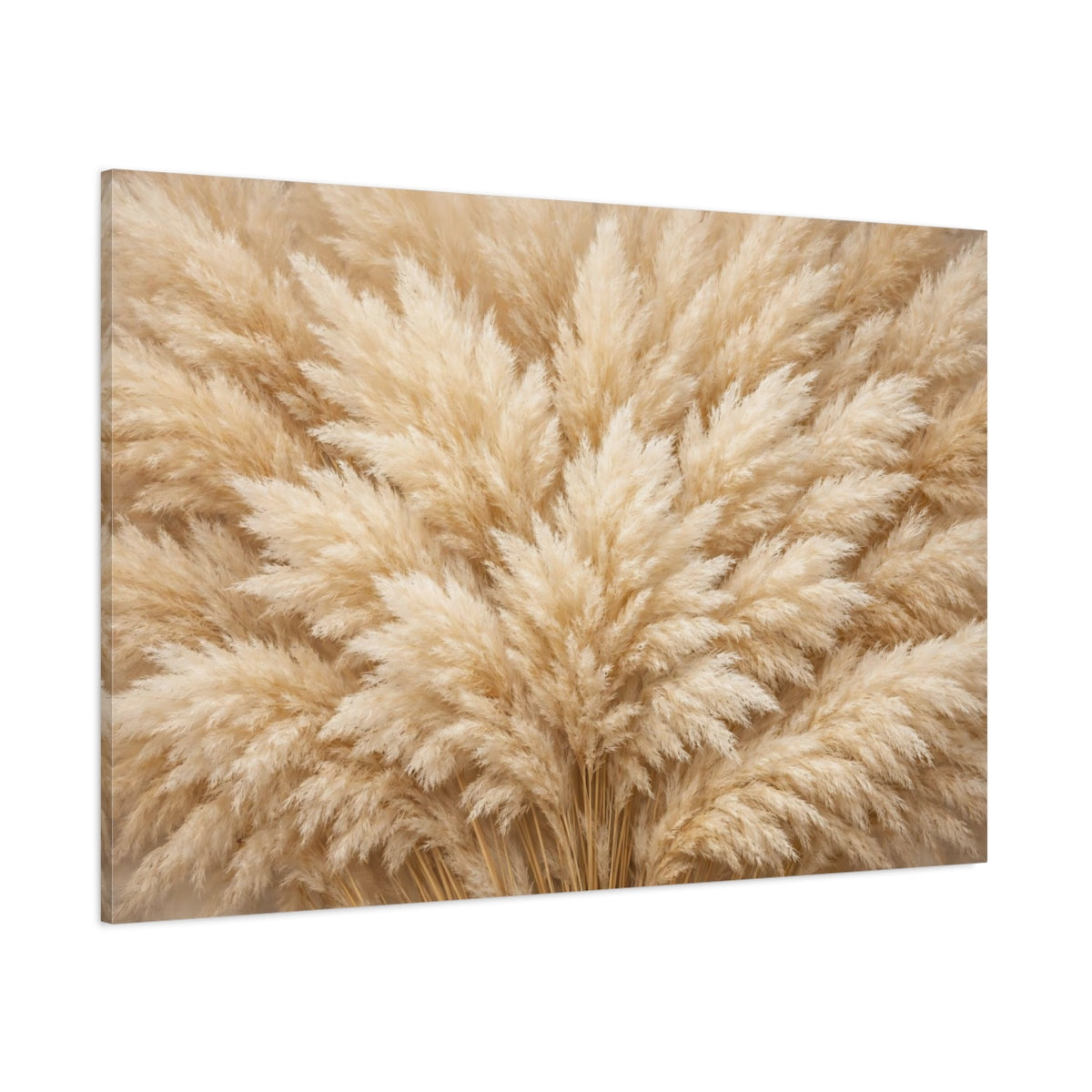 Main Mockup. Nature Pampas Grass Neutral Pampas Grass shown as stretched canvas wall art