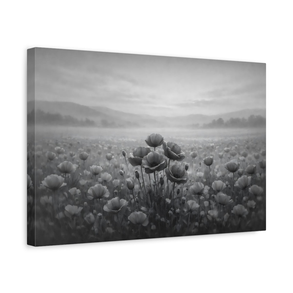 Nature Poppies Monochrome - Canvas Wall Art Print - YesArtYes