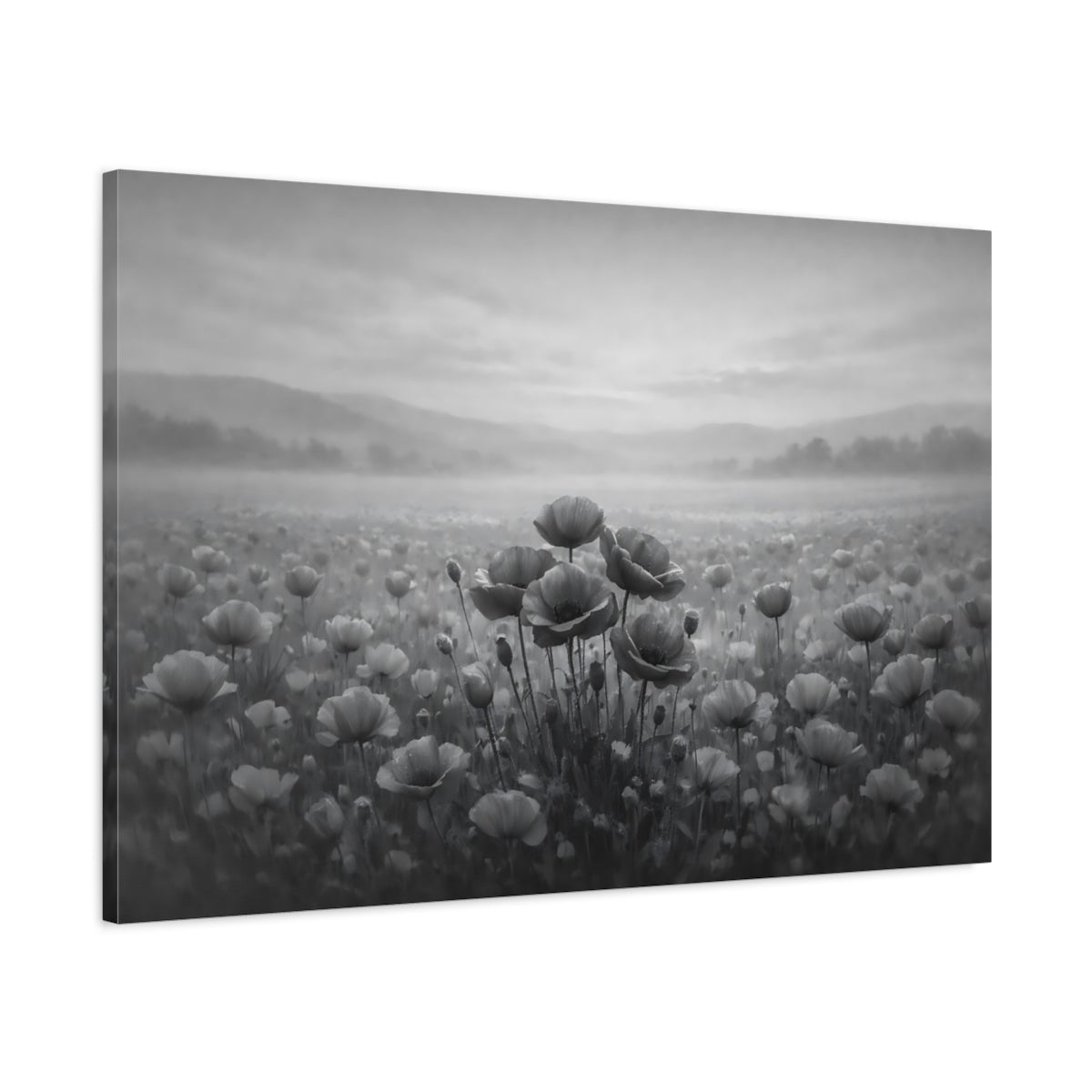 Nature Poppies Monochrome - Canvas Wall Art Print - YesArtYes