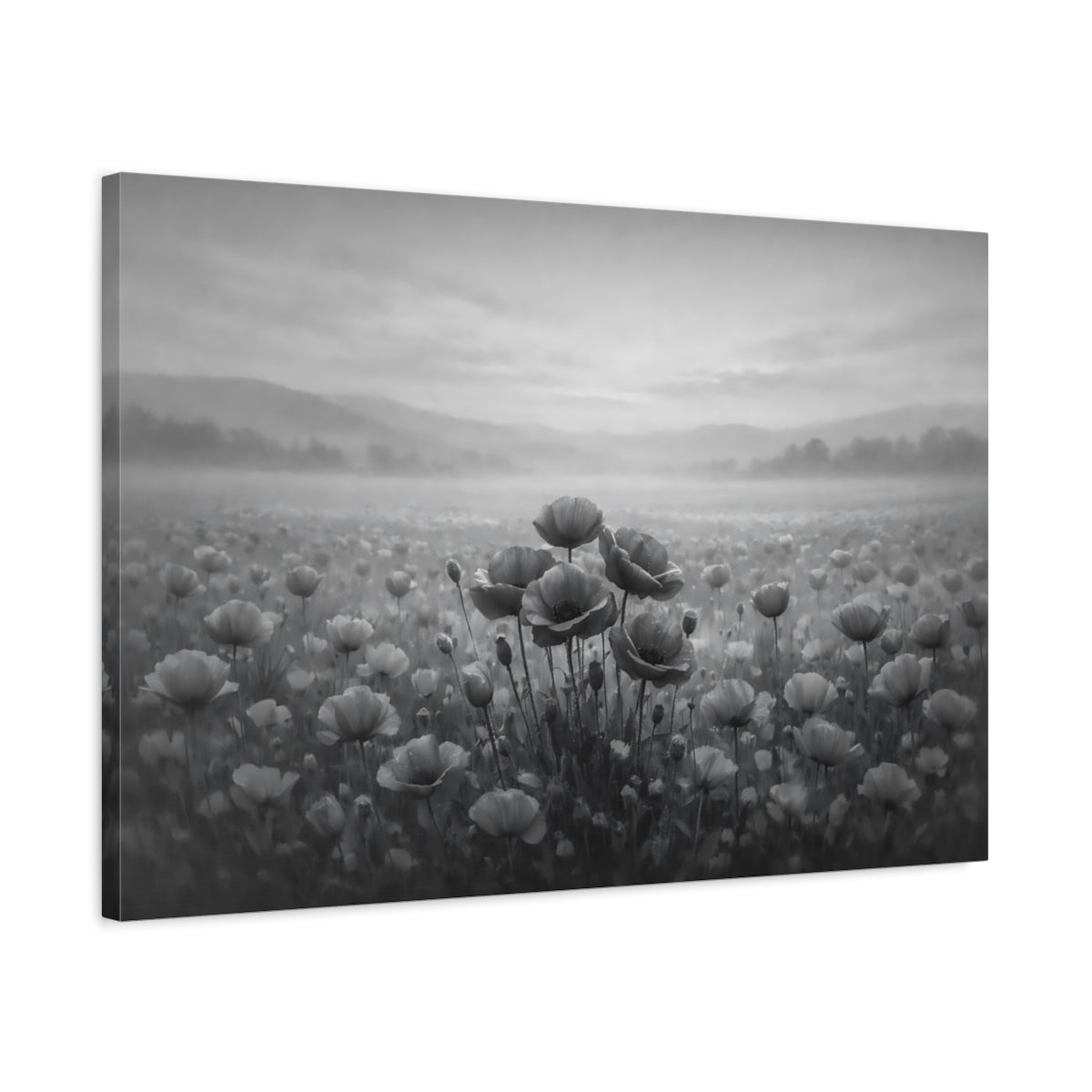Nature Poppies Monochrome - Canvas Wall Art Print - YesArtYes
