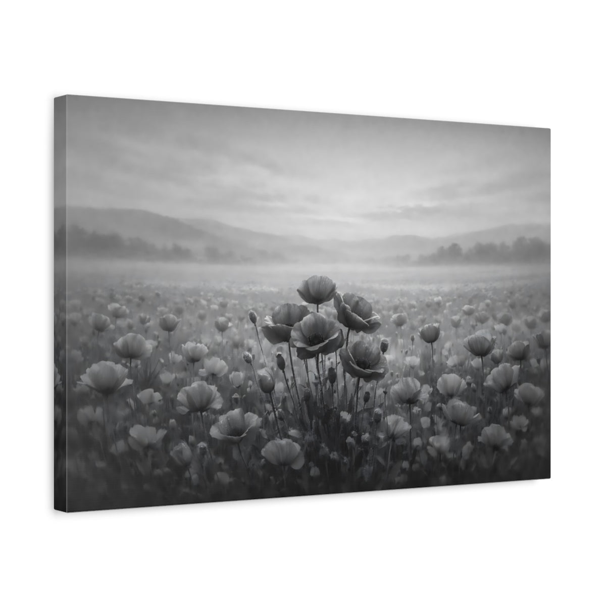 Nature Poppies Monochrome - Canvas Wall Art Print - YesArtYes