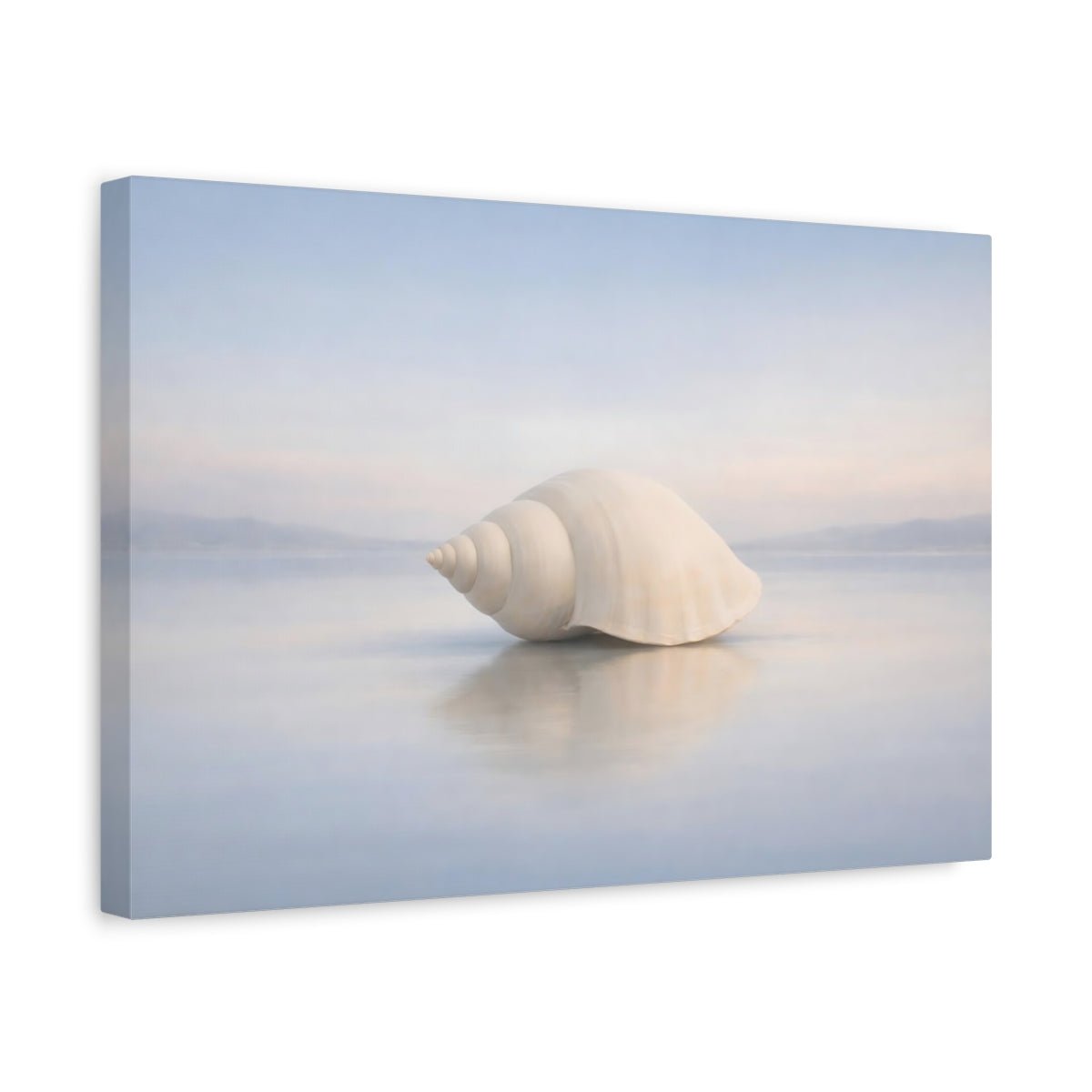 Nature Seashell Pale Blue - Canvas Wall Art Print - YesArtYes