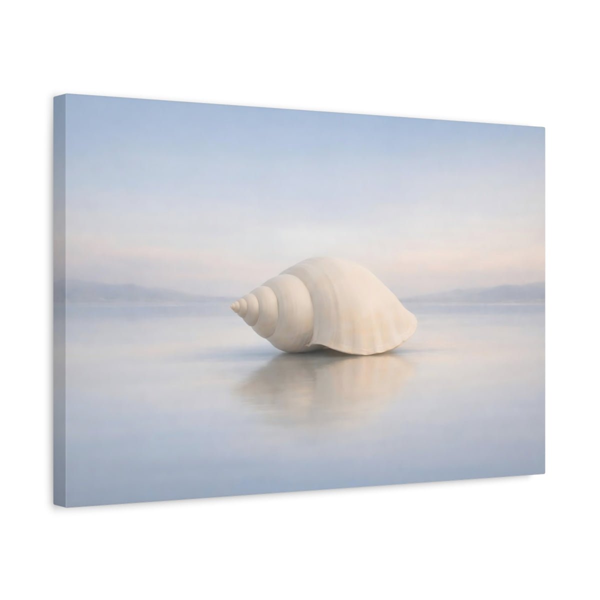 Nature Seashell Pale Blue - Canvas Wall Art Print - YesArtYes