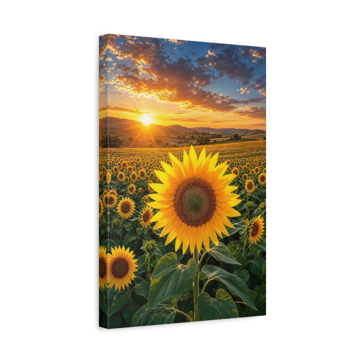 Nature Sunflower Field Sunset Canvas Wall Art Print – Vibrant Living Room, Above Fireplace - YesArtYes