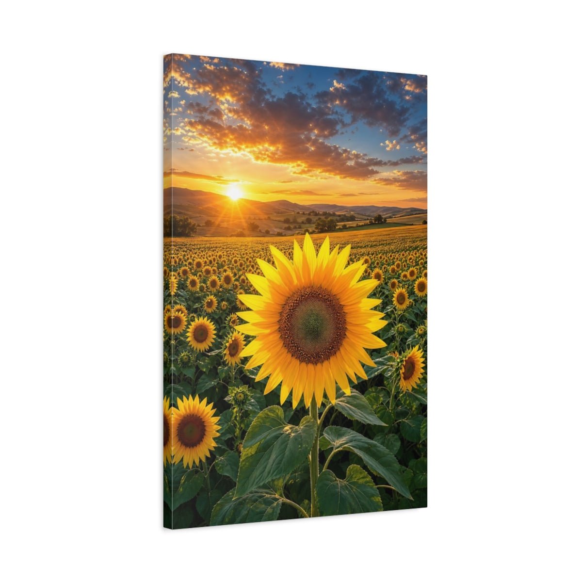 Nature Sunflower Field Sunset Canvas Wall Art Print – Vibrant Living Room, Above Fireplace - YesArtYes