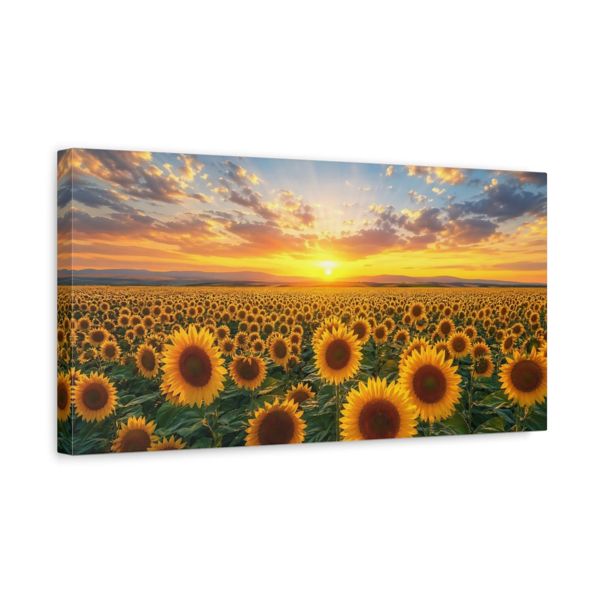Side Mockup 3. Nature Sunflower Field Yellow Sunflowers shown as stretched canvas wall art