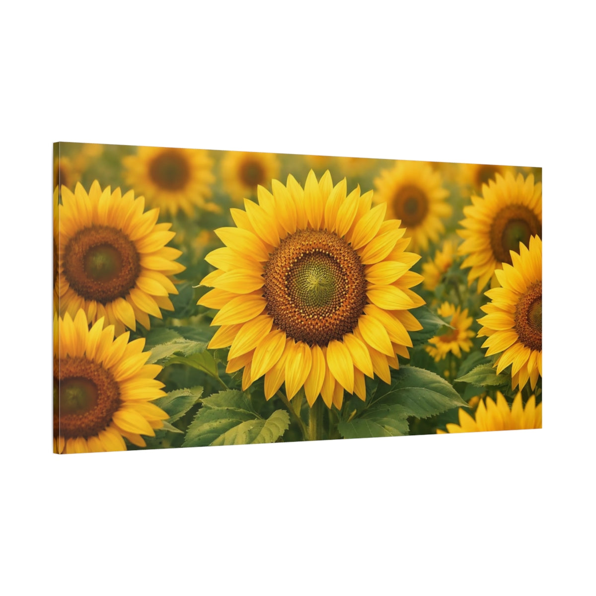 Main Mockup. Nature Sunflower Field Yellow Sunflower shown as stretched canvas wall art