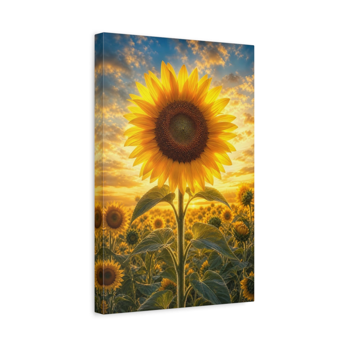 Side Mockup 4. Nature Sunflower Yellow And Orange shown as stretched canvas wall art