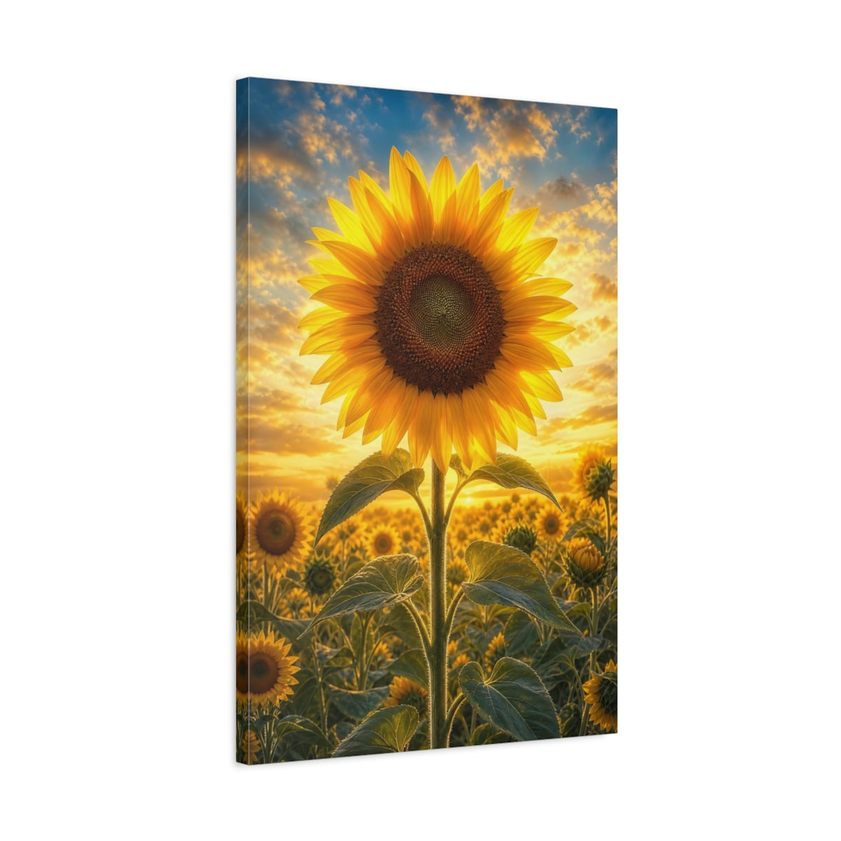 Side Mockup 2. Nature Sunflower Yellow And Orange shown as stretched canvas wall art