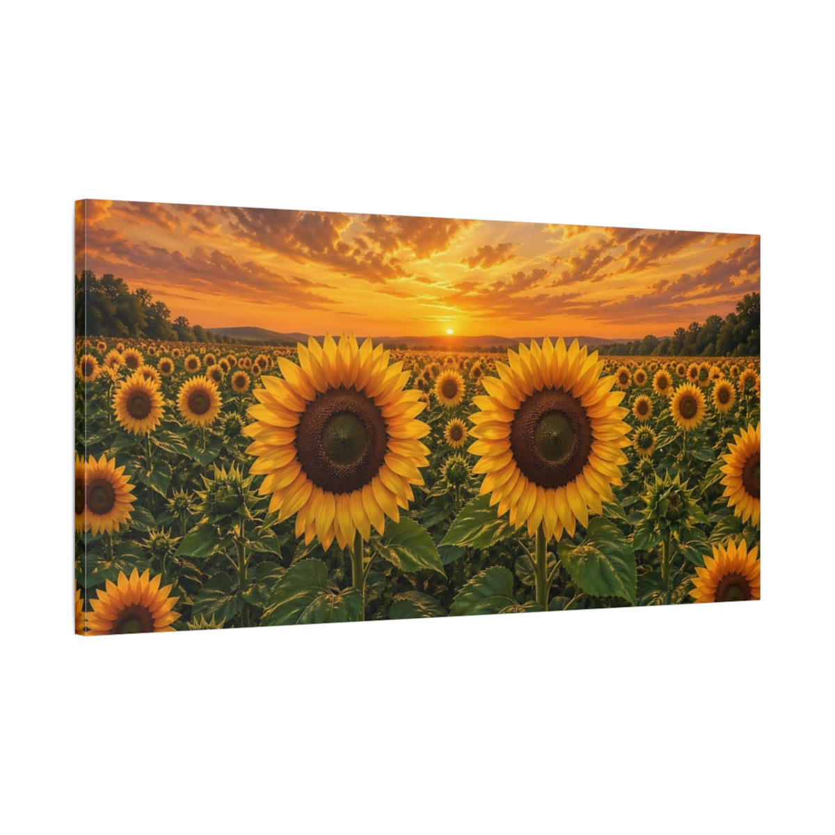 Main Mockup. Nature Sunflowers Yellow And Orange shown as stretched canvas wall art