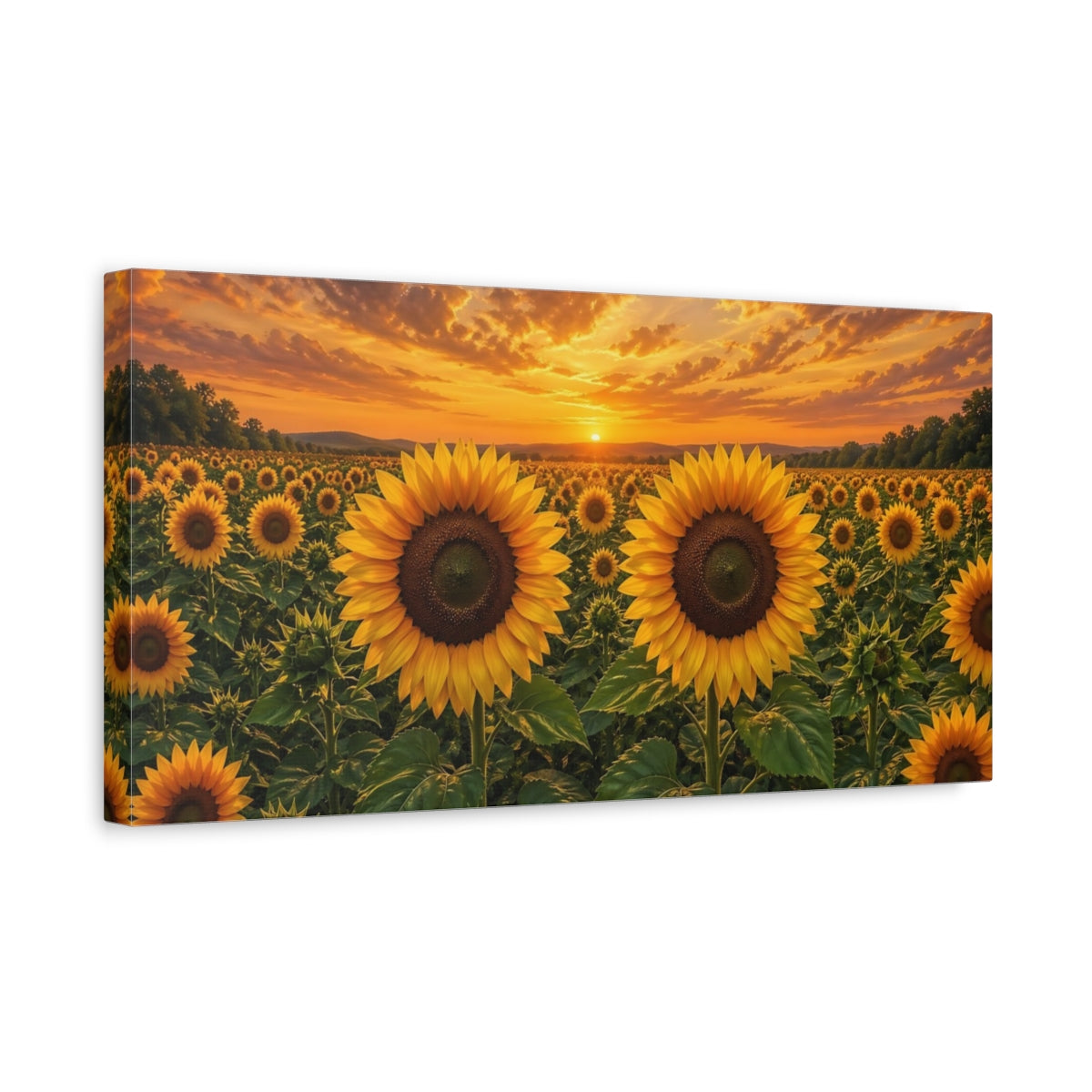 Side Mockup 3. Nature Sunflowers Yellow And Orange shown as stretched canvas wall art