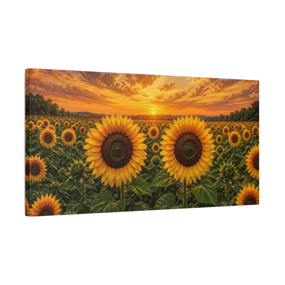 Side Mockup 1. Nature Sunflowers Yellow And Orange shown as stretched canvas wall art