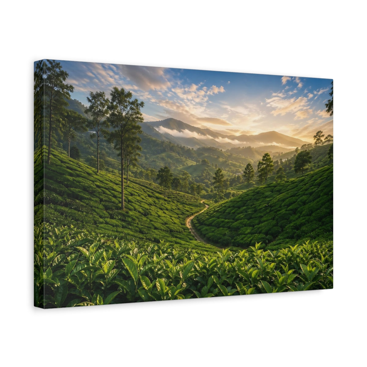Side Mockup 4. Nature Tea Plantation Green Landscape shown as stretched canvas wall art