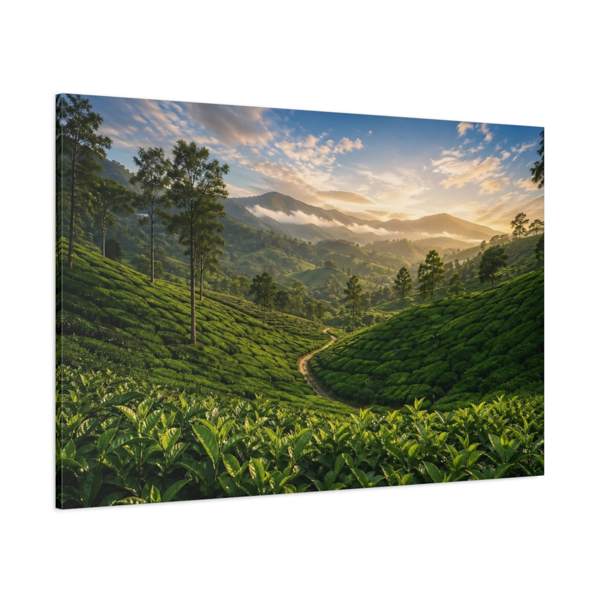 Side Mockup 1. Nature Tea Plantation Green Landscape shown as stretched canvas wall art