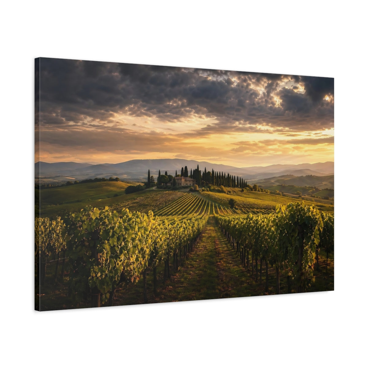 Main Mockup. Nature Tuscan Vineyard Golden Tuscan Sunset shown as stretched canvas wall art