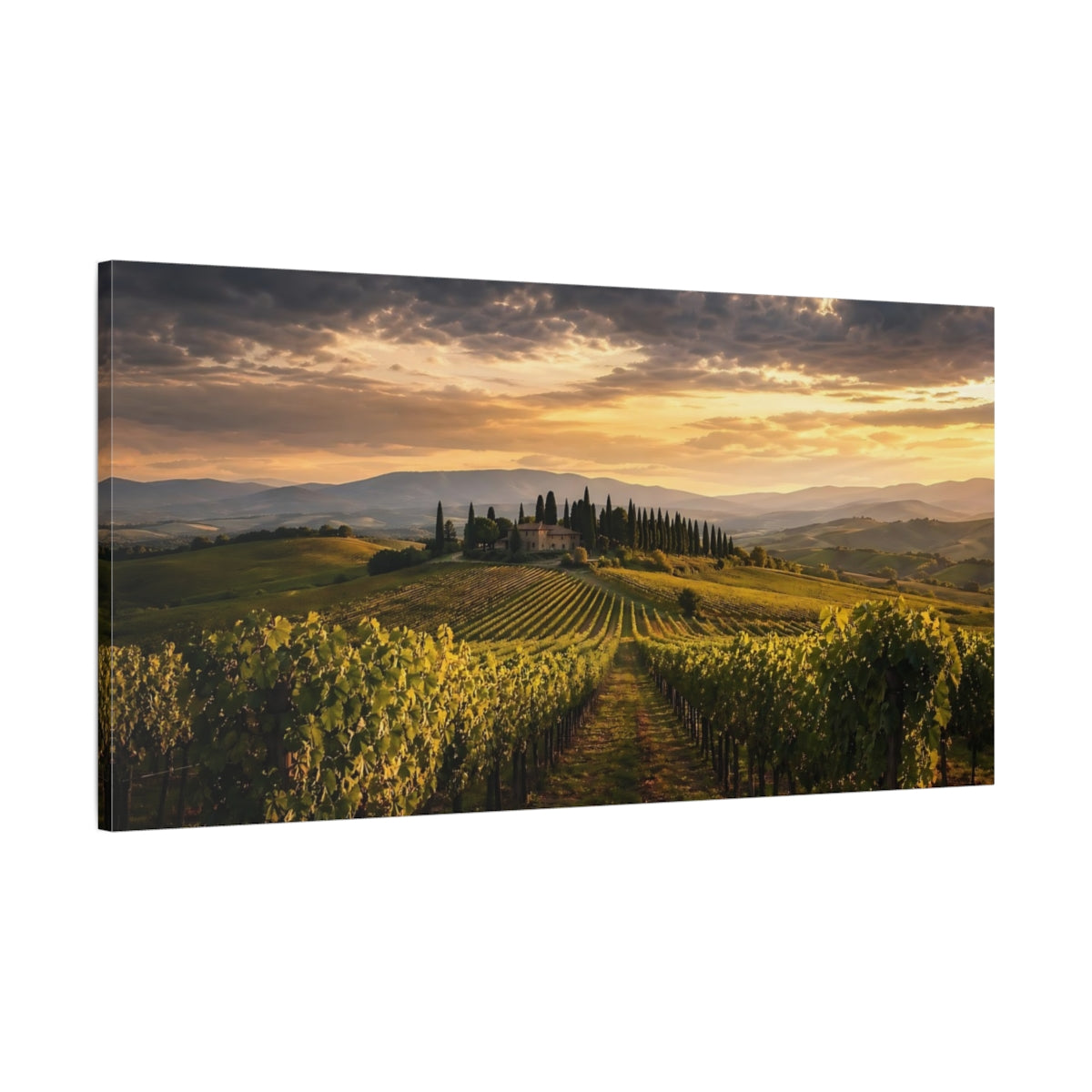 Main Mockup. Nature Vineyard Golden Vineyard shown as stretched canvas wall art