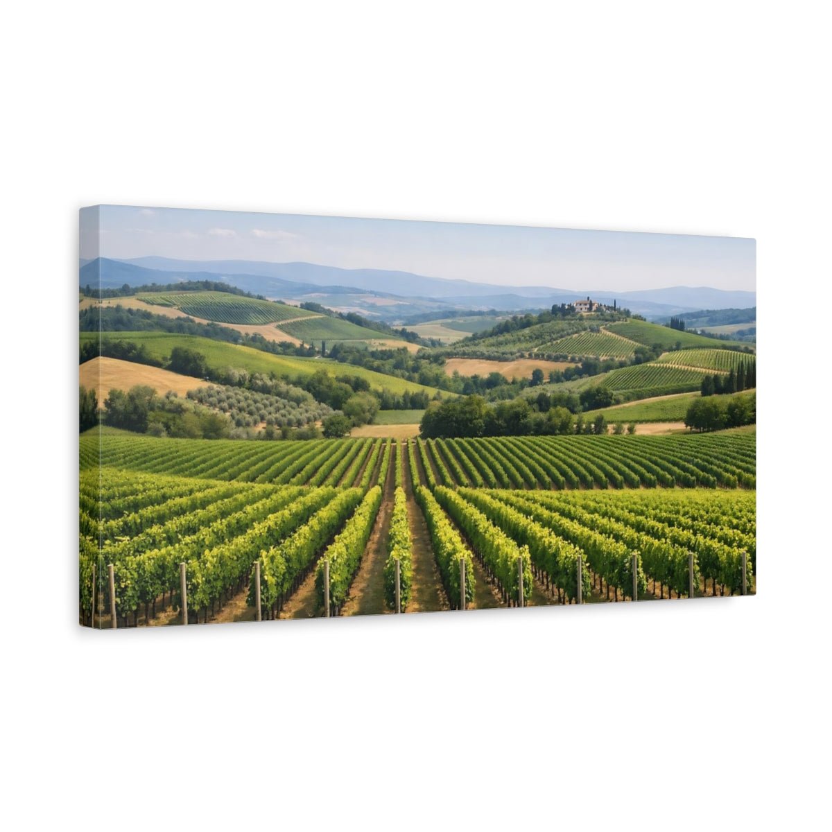Nature Vineyard Green Hills - Canvas Wall Art Print - YesArtYes
