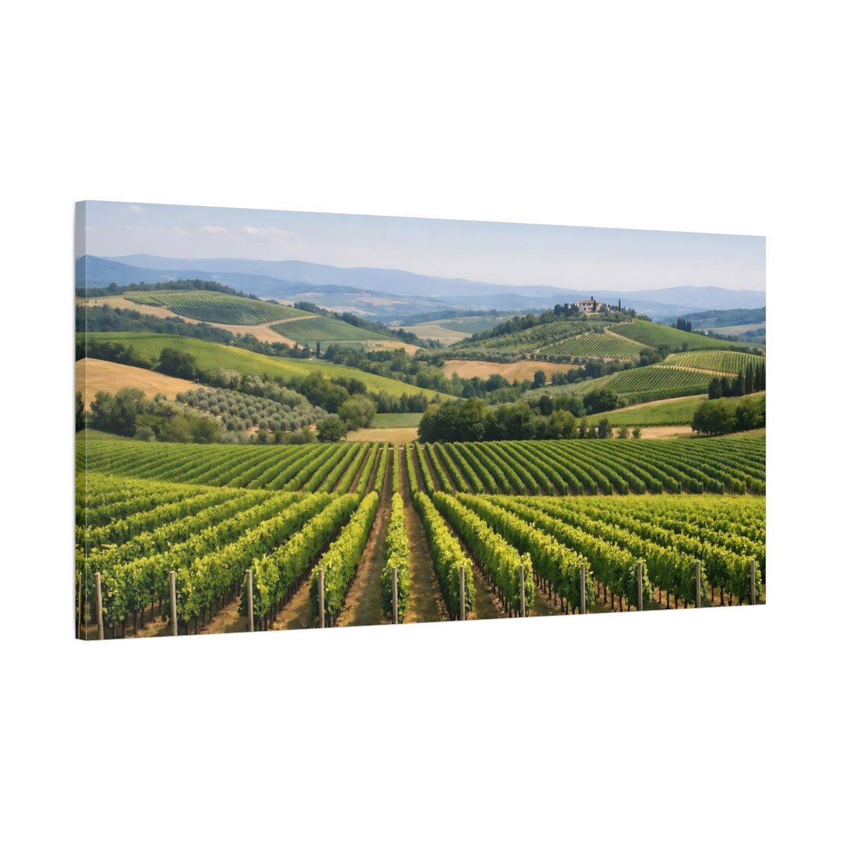 Nature Vineyard Green Hills - Canvas Wall Art Print - YesArtYes