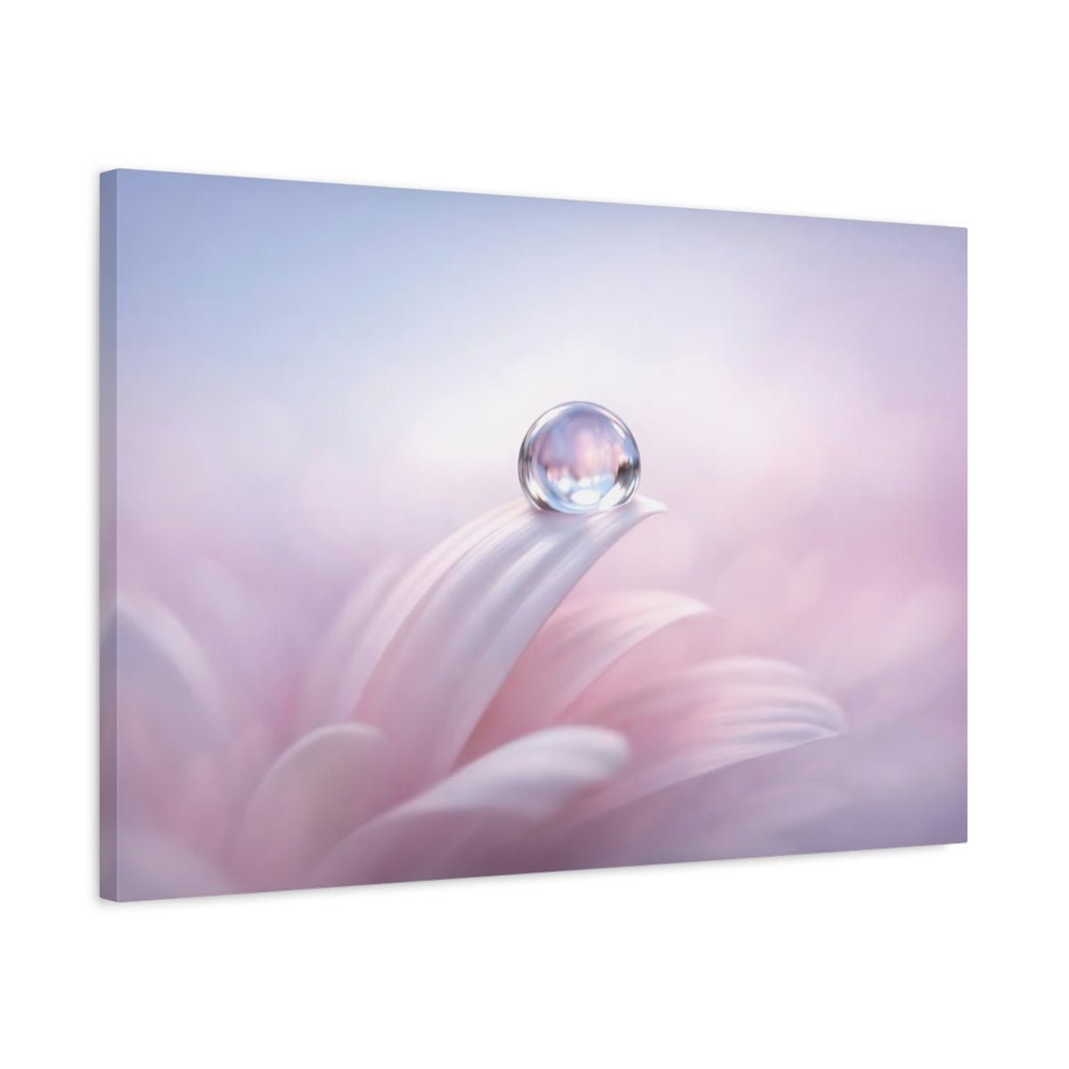 Nature Water Droplet Pink And Purple - Canvas Wall Art Print - YesArtYes