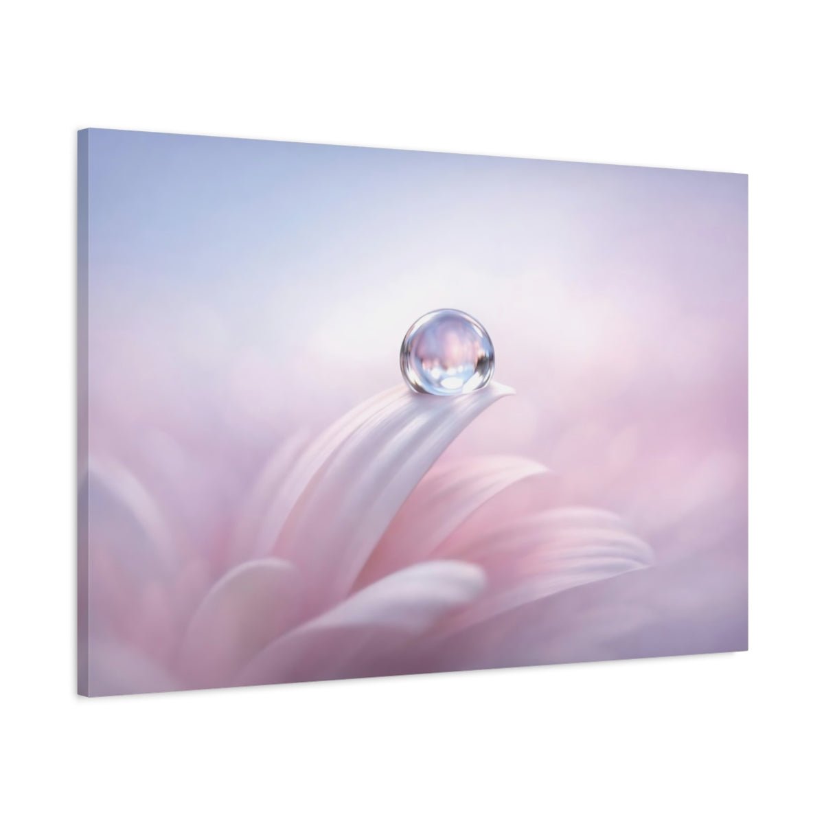Nature Water Droplet Pink And Purple - Canvas Wall Art Print - YesArtYes