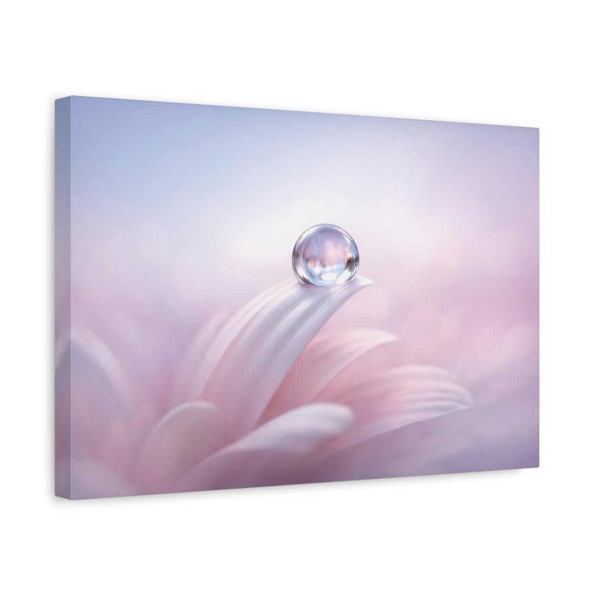 Nature Water Droplet Pink And Purple - Canvas Wall Art Print - YesArtYes