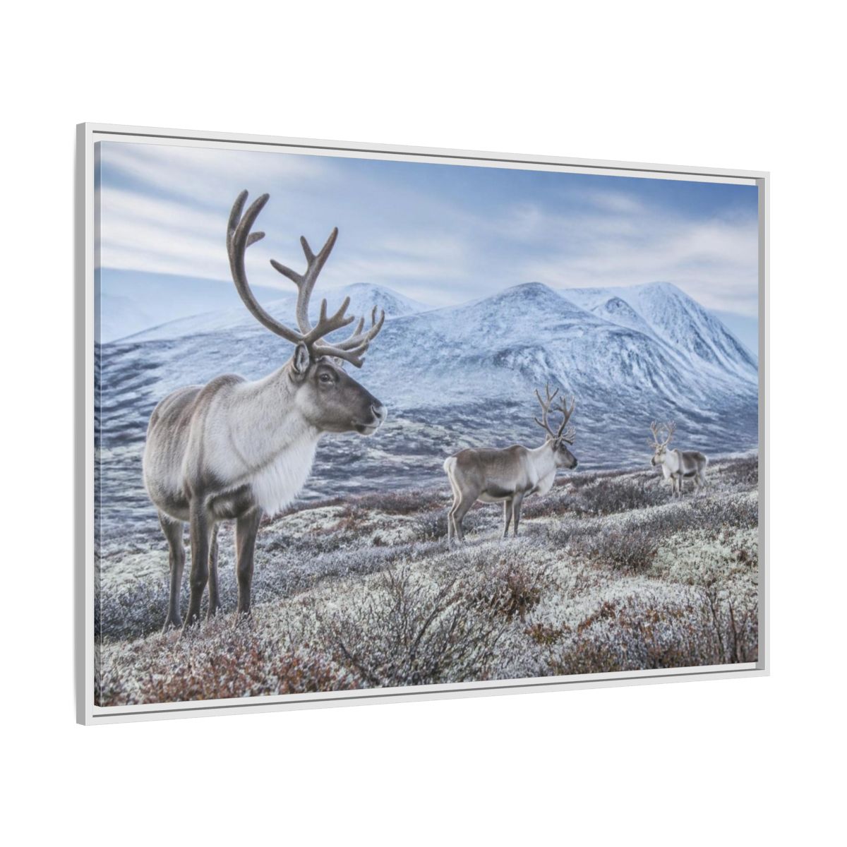Side Mockup 7. Nordic Reindeer In Tundra shown as framed canvas print