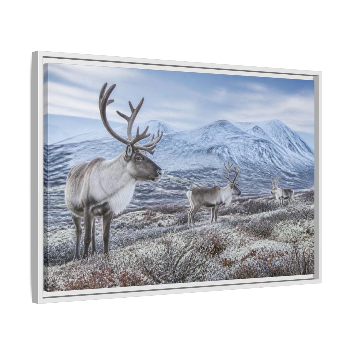 Side Mockup 10. Nordic Reindeer In Tundra shown as framed canvas print