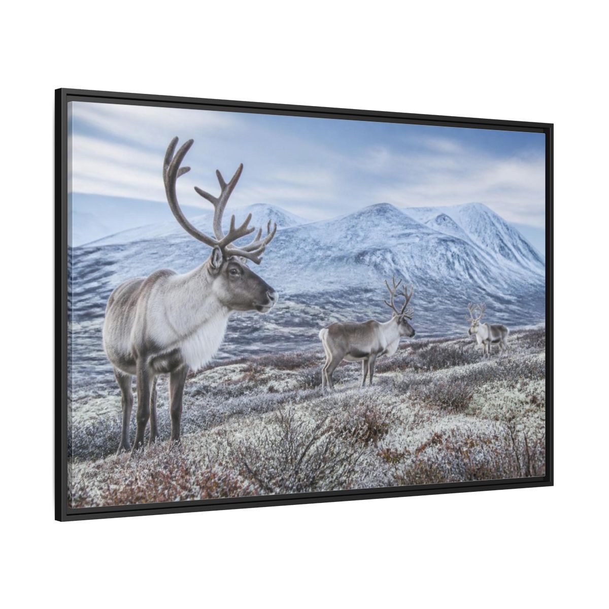 Side Mockup 12. Nordic Reindeer In Tundra shown as framed canvas print
