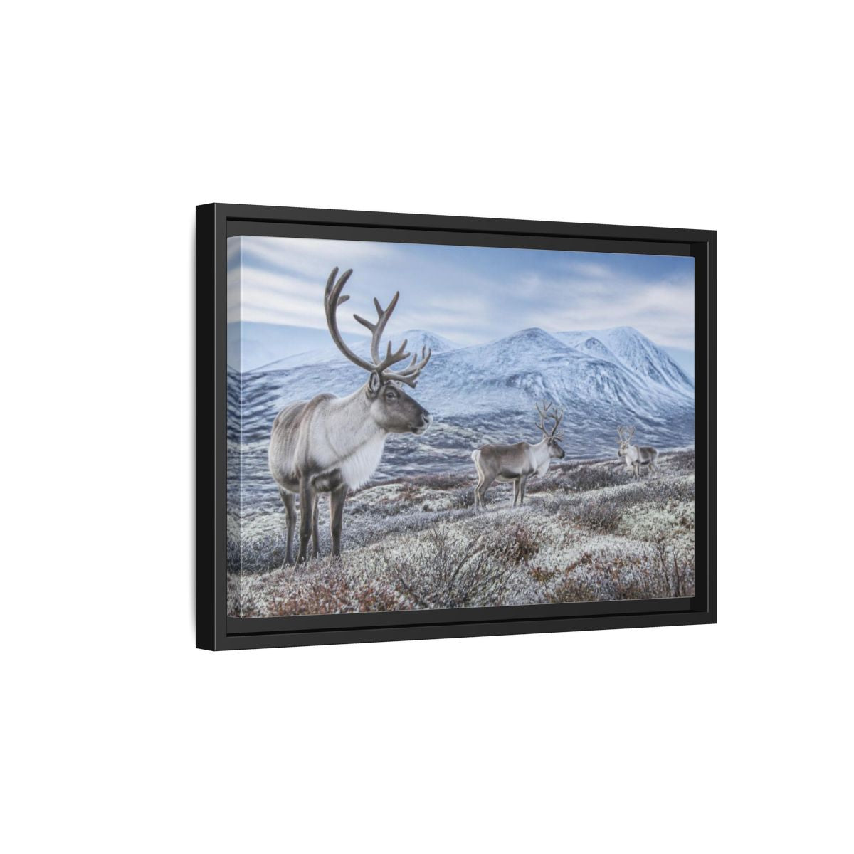 Side Mockup 6. Nordic Reindeer In Tundra shown as framed canvas print