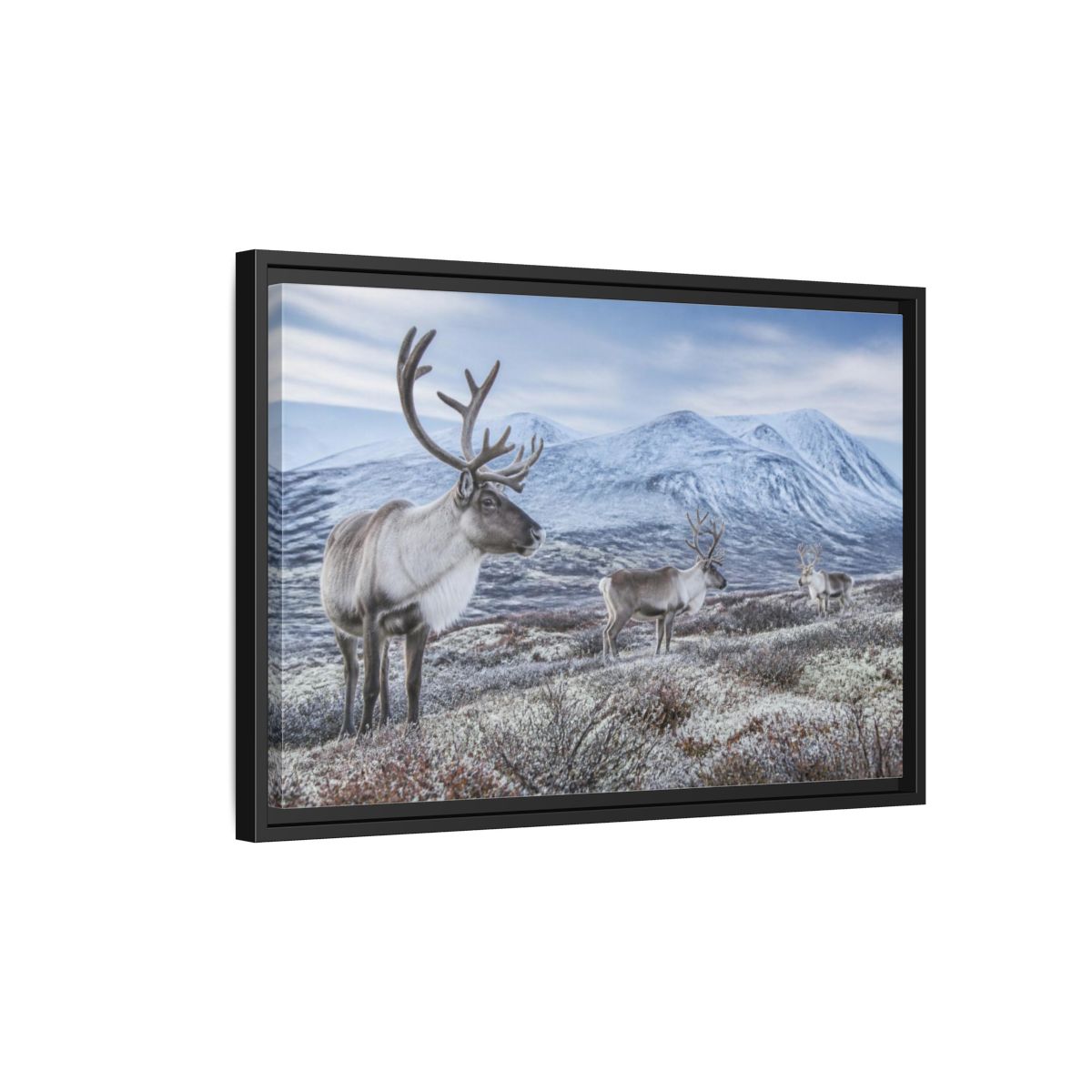 Side Mockup 3. Nordic Reindeer In Tundra shown as framed canvas print